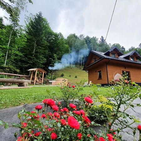 Domek Nad Stawami Ochotnica Dolna Villa Rum bild