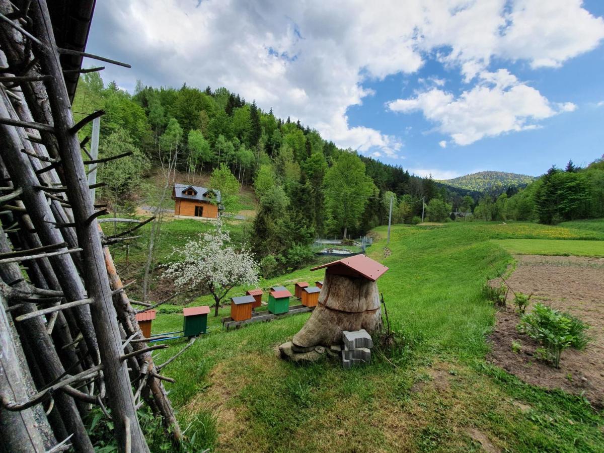 Domek Nad Stawami Ochotnica Dolna Villa Exteriör bild