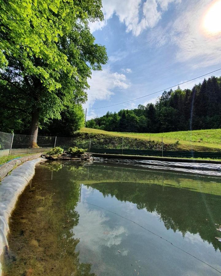 Domek Nad Stawami Ochotnica Dolna Villa Exteriör bild