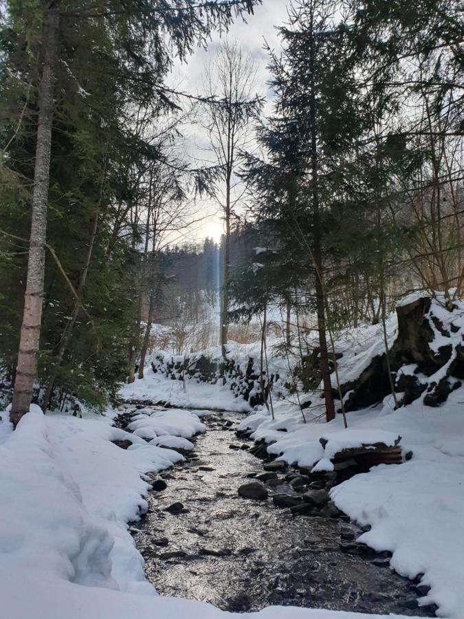 Domek Nad Stawami Ochotnica Dolna Villa Exteriör bild