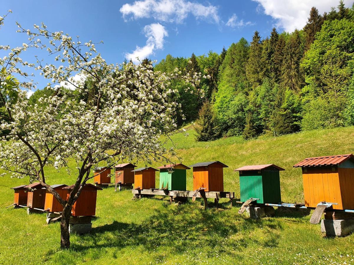 Domek Nad Stawami Ochotnica Dolna Villa Exteriör bild