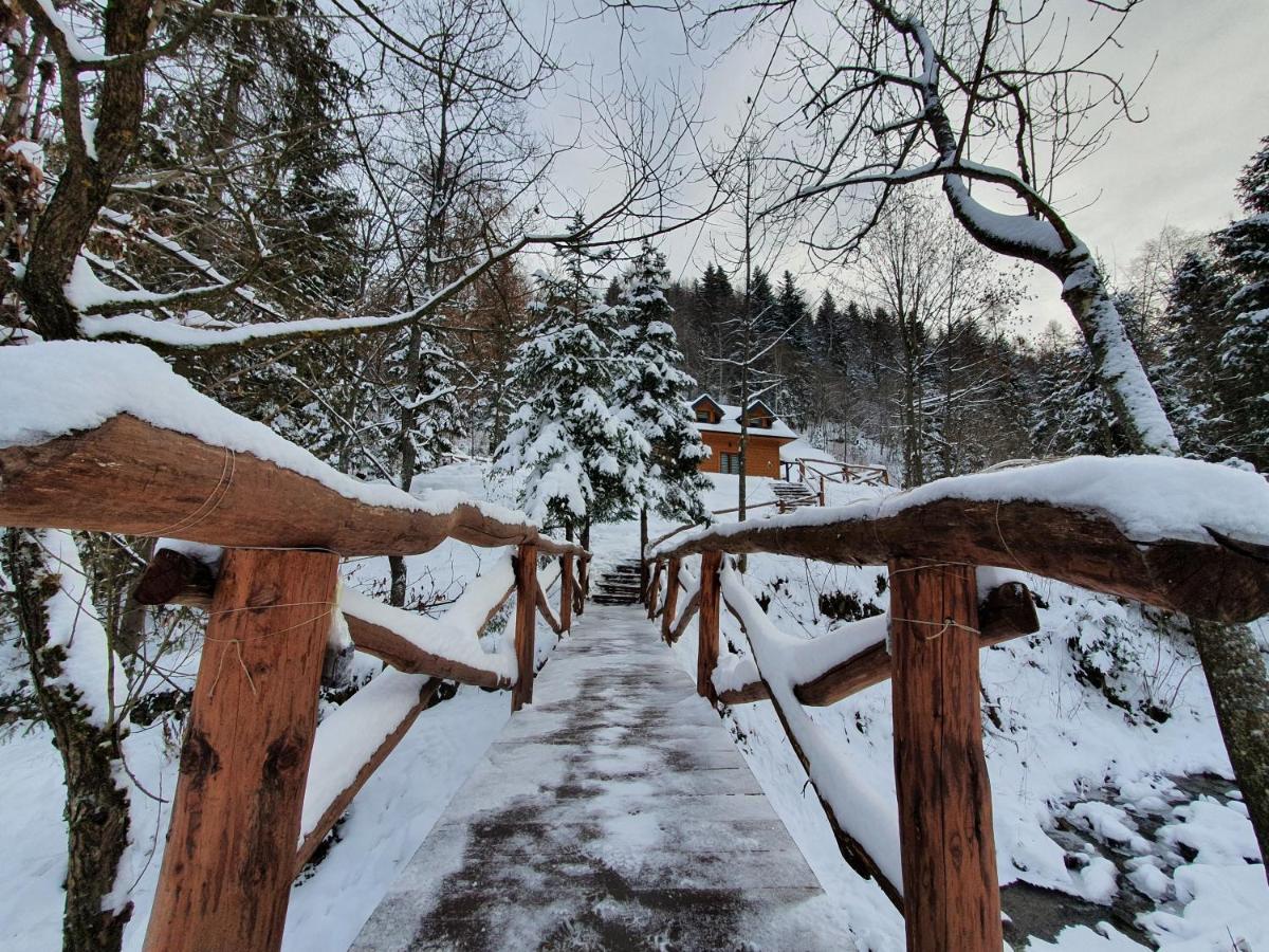 Domek Nad Stawami Ochotnica Dolna Villa Exteriör bild