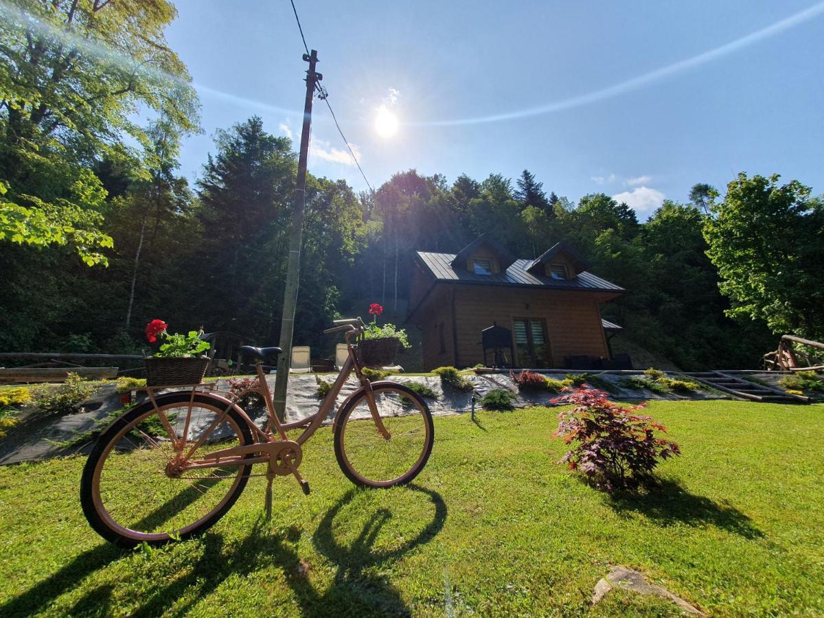 Domek Nad Stawami Ochotnica Dolna Villa Exteriör bild